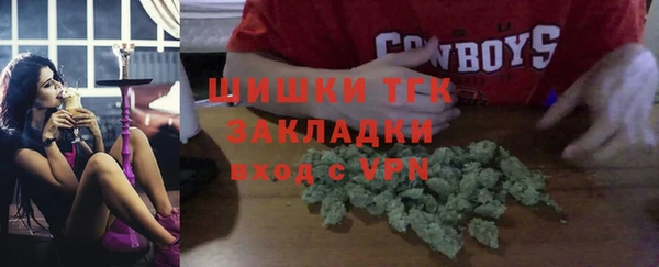 гашик Алексин