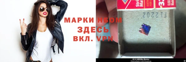 гашик Алексин