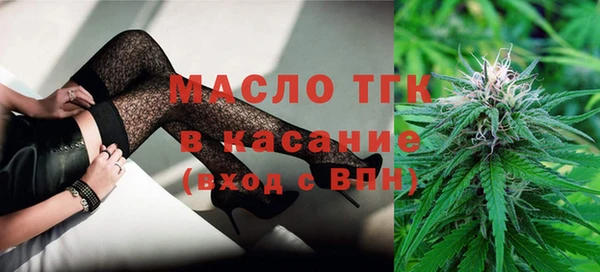 гашик Алексин