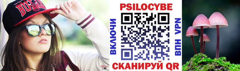 Псилоцибиновые грибы GOLDEN TEACHER  купить наркотики цена  Тогучин 